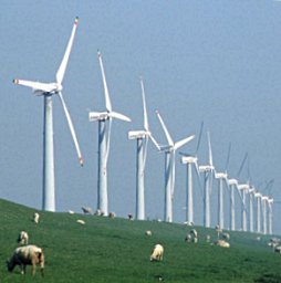 Windmills at the coastline 